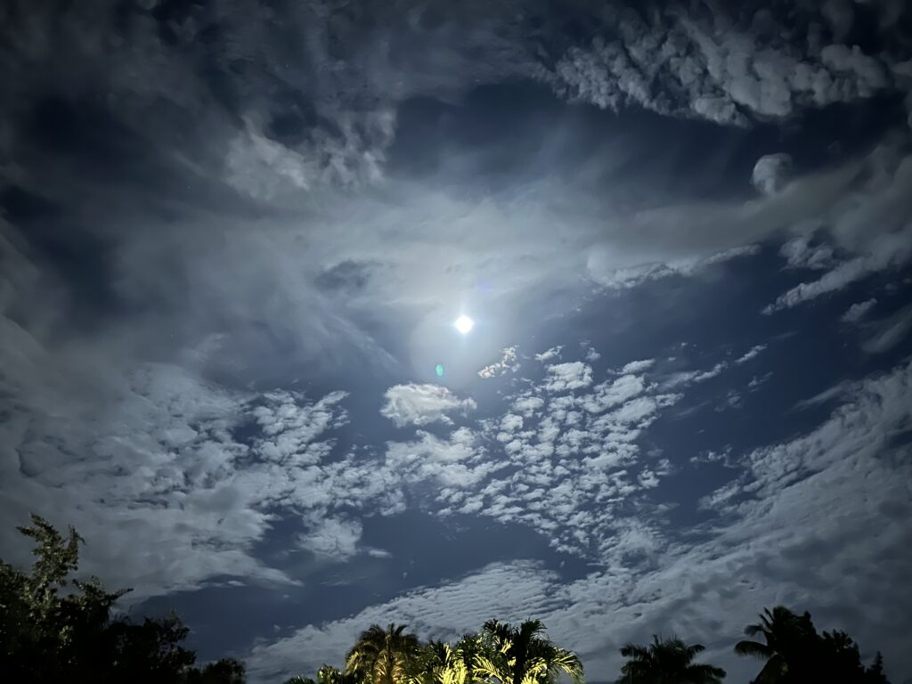 Moonlit sky with clouds and palm silhouettes